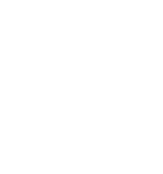 Preuitt Insurance logo